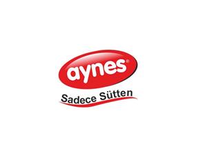 Aynes